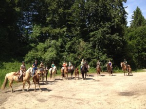 Bodensee Wanderritt