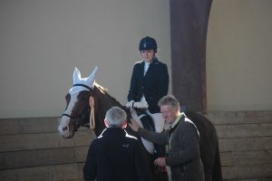 DSC_0041_-300x200
