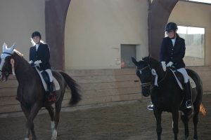 DSC_0047_-300x200