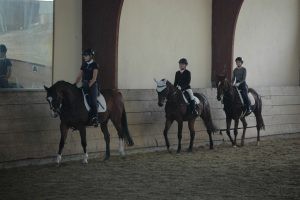 DSC_0056_-300x200