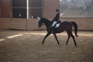 DSC_0073_-300x200