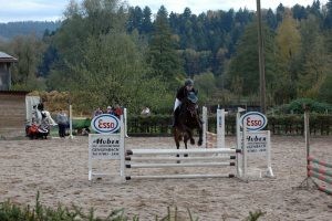 DSC_0225_-300x200