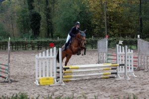 DSC_0227_-300x200