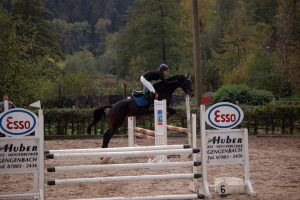 DSC_0256_-300x200