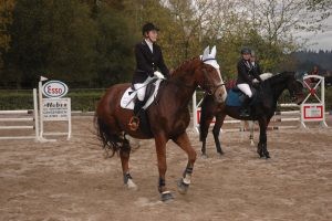 DSC_0272_-300x200