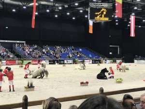 IMG_4928